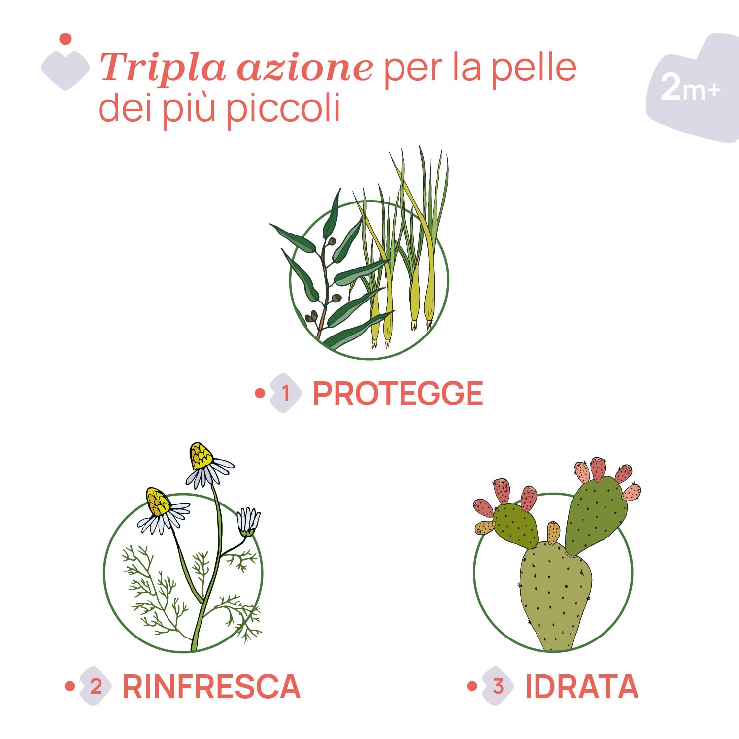 chicco-naturalz-gel-protettivo-gel-protettivo-estivo-per-bambini-con-citronella- image 3