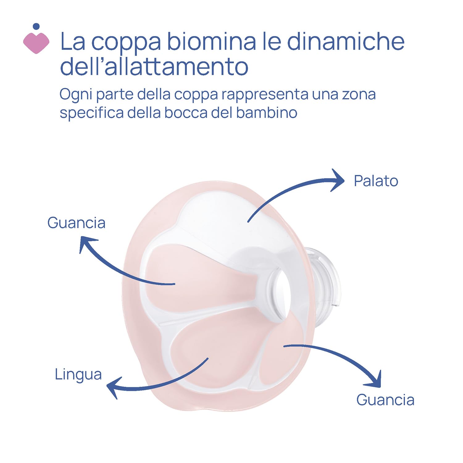 chicco-stimolatte-tiralatte-elettrico-coppa-100-silicone-delicata-rotante-180-2- image 3